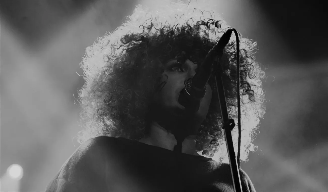 11687665-nosowska-na-scenie-warszawskiego.jpg