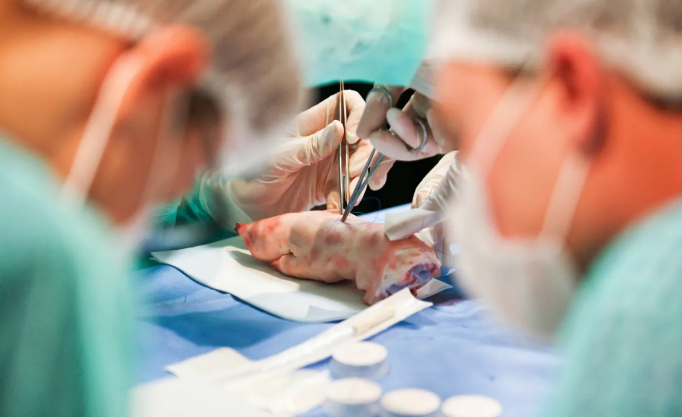 MISTRZOSTWA POLSKI W SZYCIU CHIRURGICZNYM