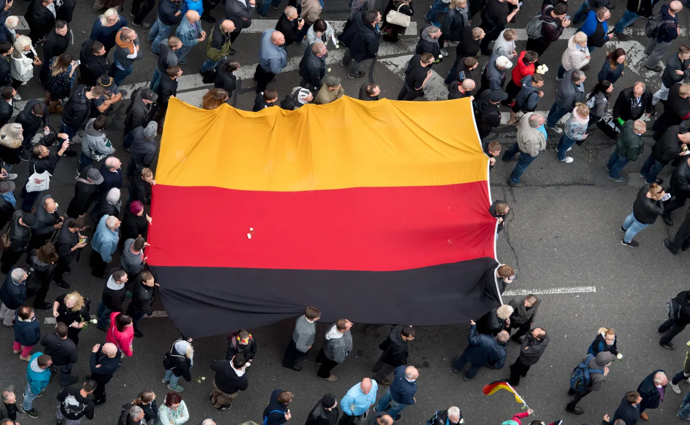 Antyimigrancka demonstracja AfD i Pegidy