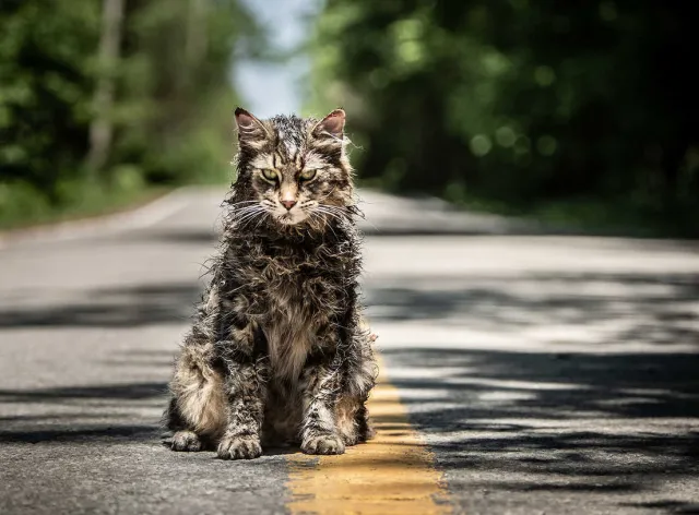 Czasami martwe jest lepsze. Nowa ekranizacja "Smętarza dla zwierzaków" Kinga [RECENZJA]