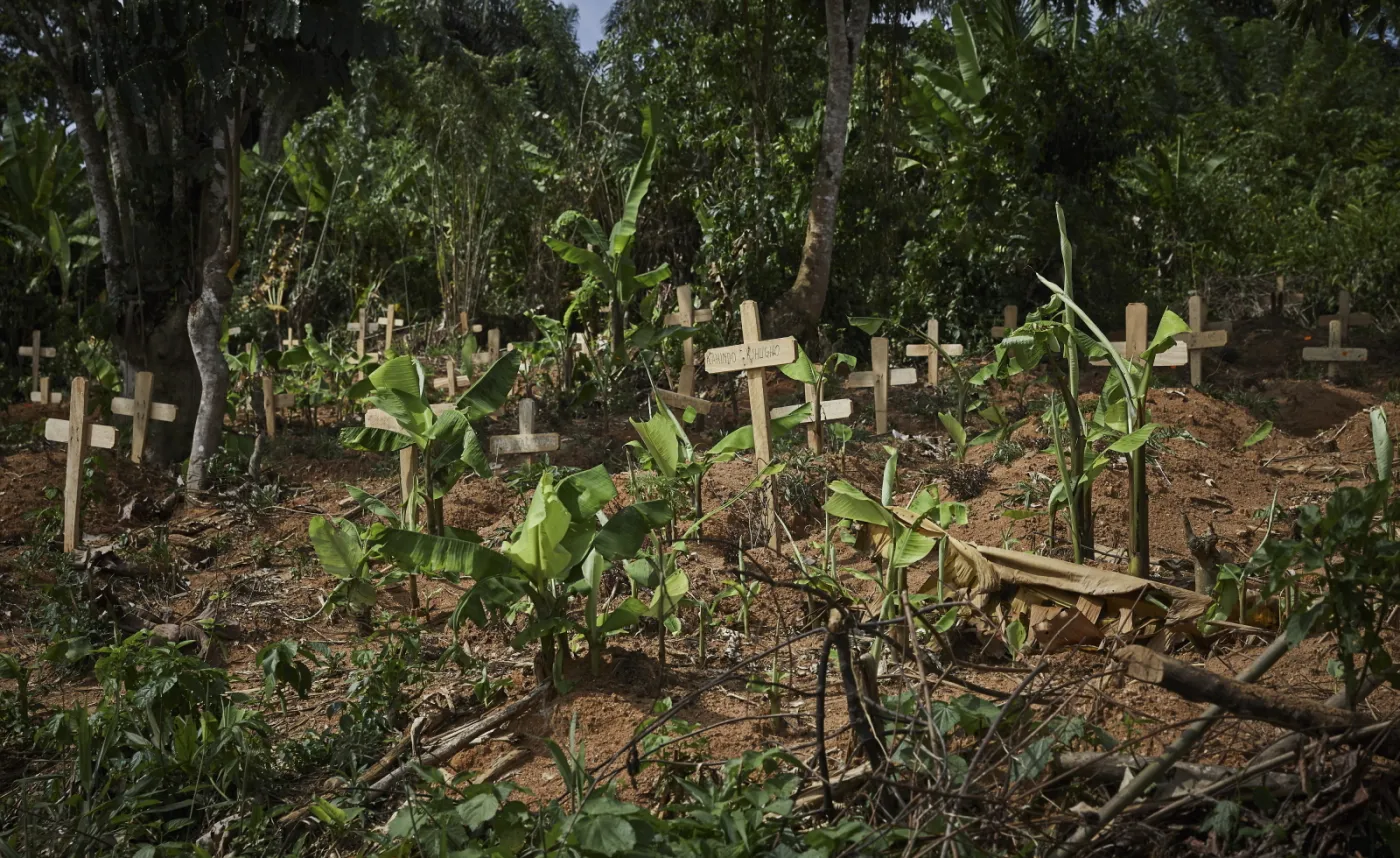 12306511-fala-epidemiczna-wirusa-ebola-w.jpg