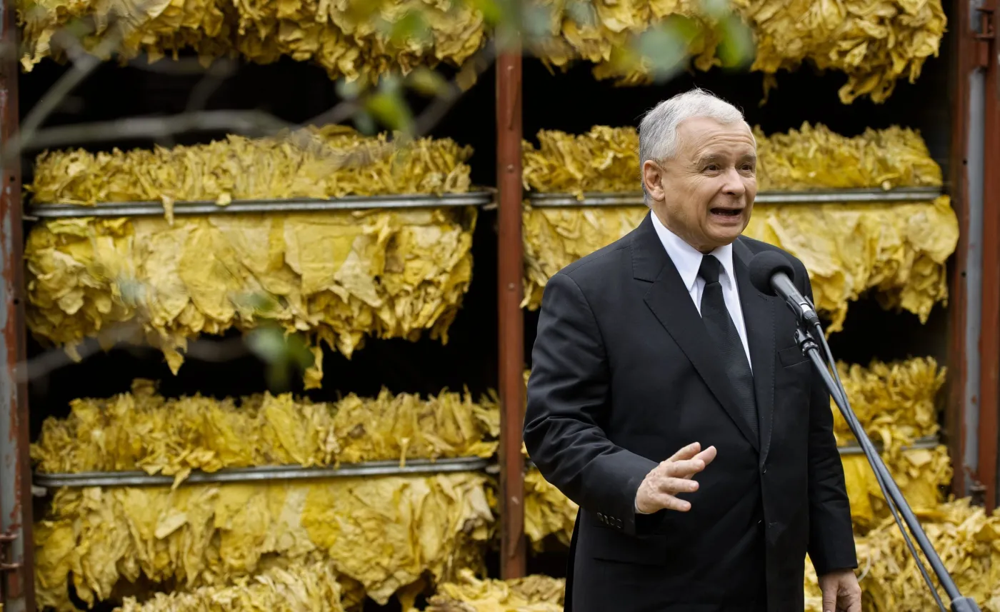 Prezes PiS Jarosław Kaczyński 