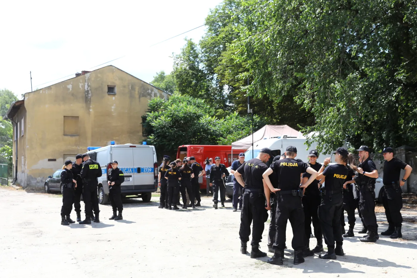 Poszukiwania Dawida Żukowskiego