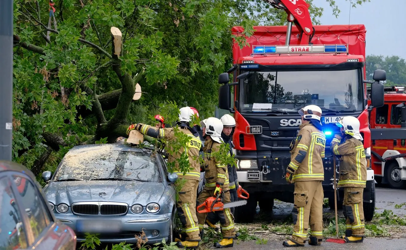 Pożary i powalone drzewa. 1825 interwencji strażaków przez burze