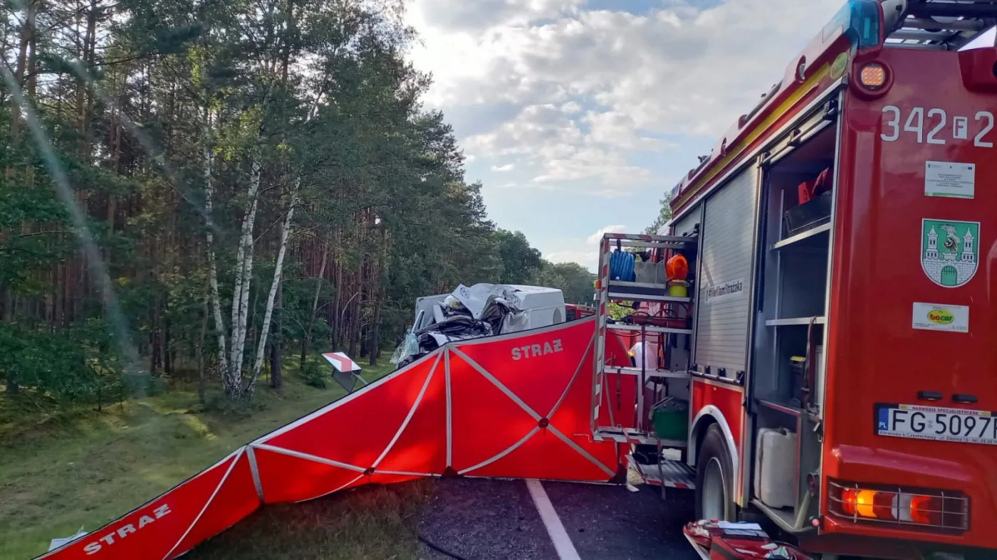 Wypadek pod Zieloną Górą. Winny kierowca busa?