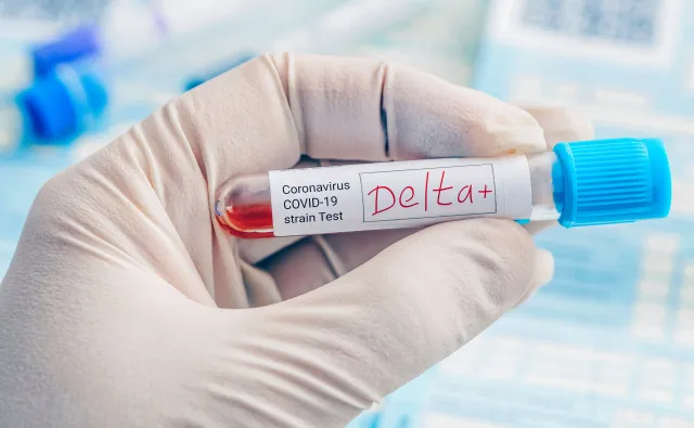 Wariant Delta coraz częściej przełamuje odporność u zaszczepionych