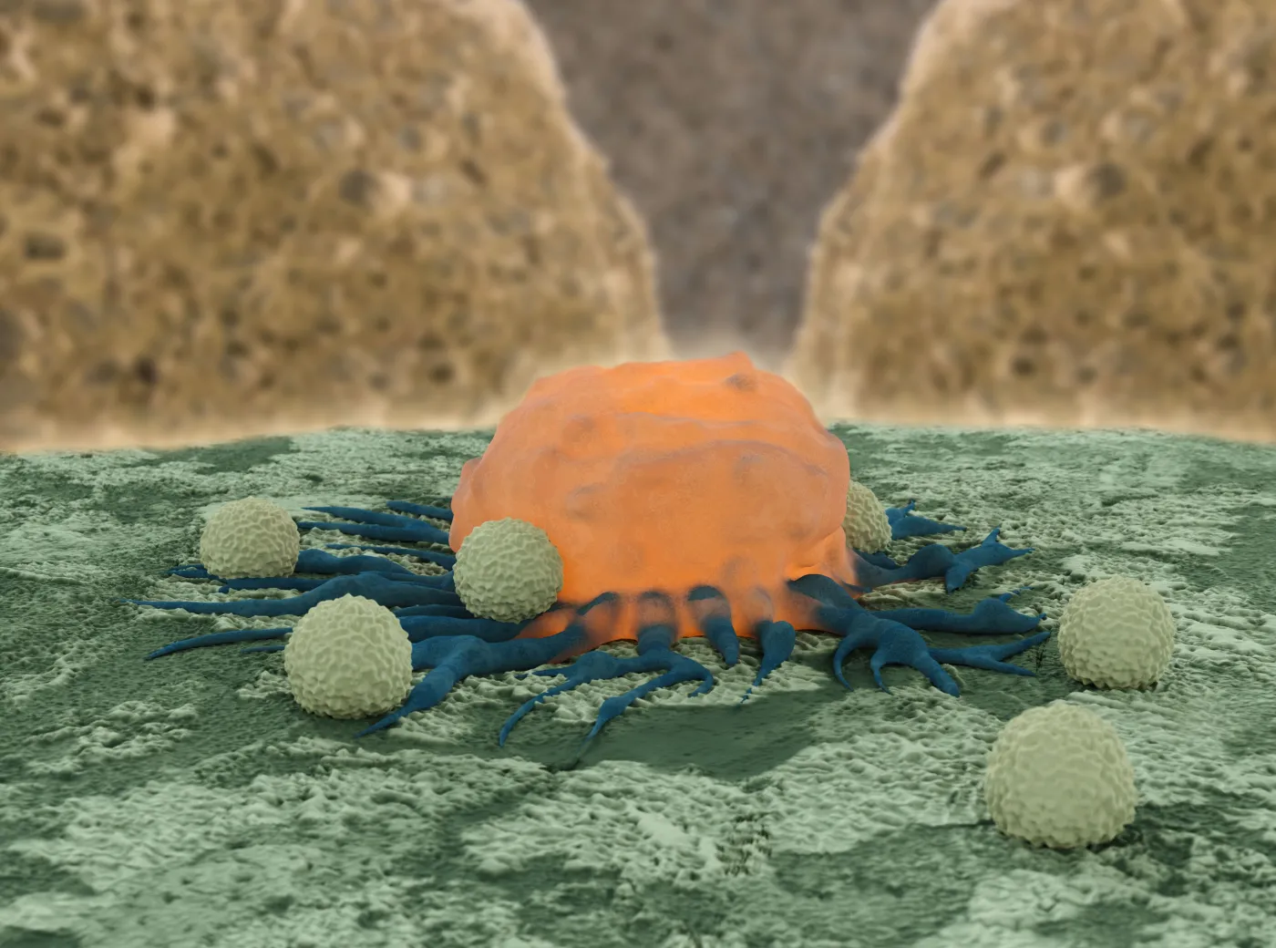 Które typy nowotworów najczęściej się dziedziczy?