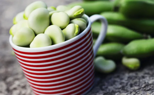 BÓB jest sycący i zdrowy. To świetny zamiennik mięsa nie tylko dla wegan