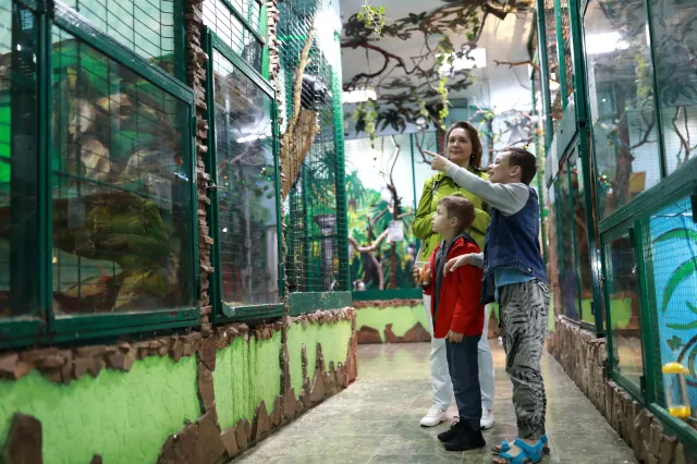 Sceny w zoo jak z horroru. Dziewięciolatek udusił kilkanaście zwierząt
