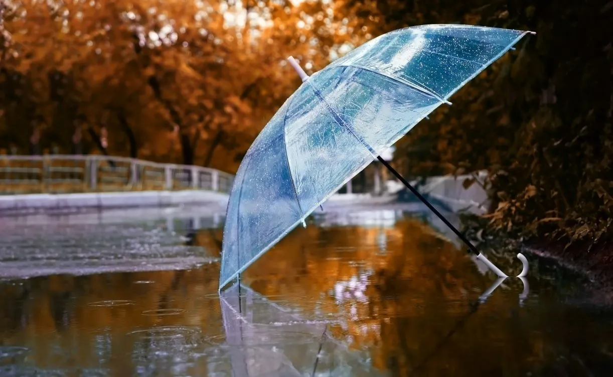 jesień deszcz parasol pogoda 