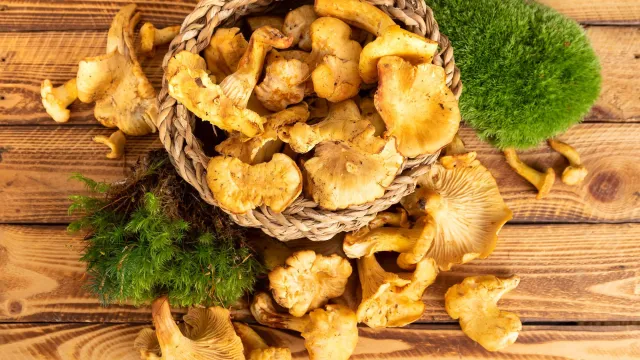 Kurki chrzęszczą w zębach? Podajemy niezawodne sposoby na czyszczenie kurek