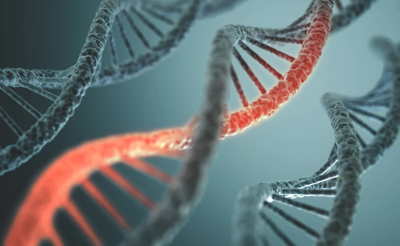 Metoda "genetycznych nożyczek" CRISPR-Cas9 może powodować nieoczekiwane, dziedziczne mutacje [BADANIA]