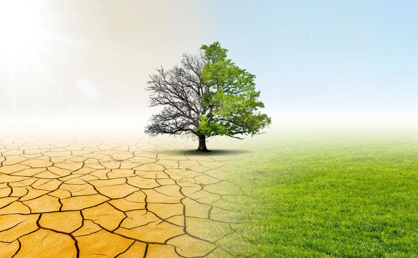 IUNG: W przyszłego roku susza w Polsce będzie monitorowana z pomocą satelity