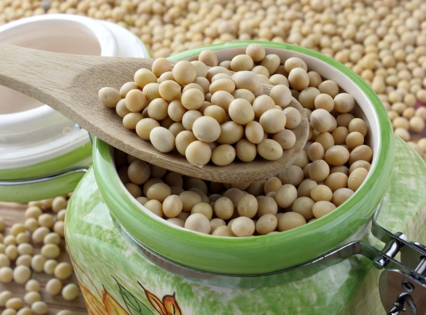 Ekstrakt ze sfermentowanej soi blokuje zakażenie koronawirusem [BADANIA]