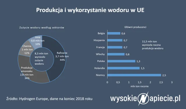 Kto zarobi na polskim wodorze? Państwowym spółkom depczą po piętach prywatni inwestorzy