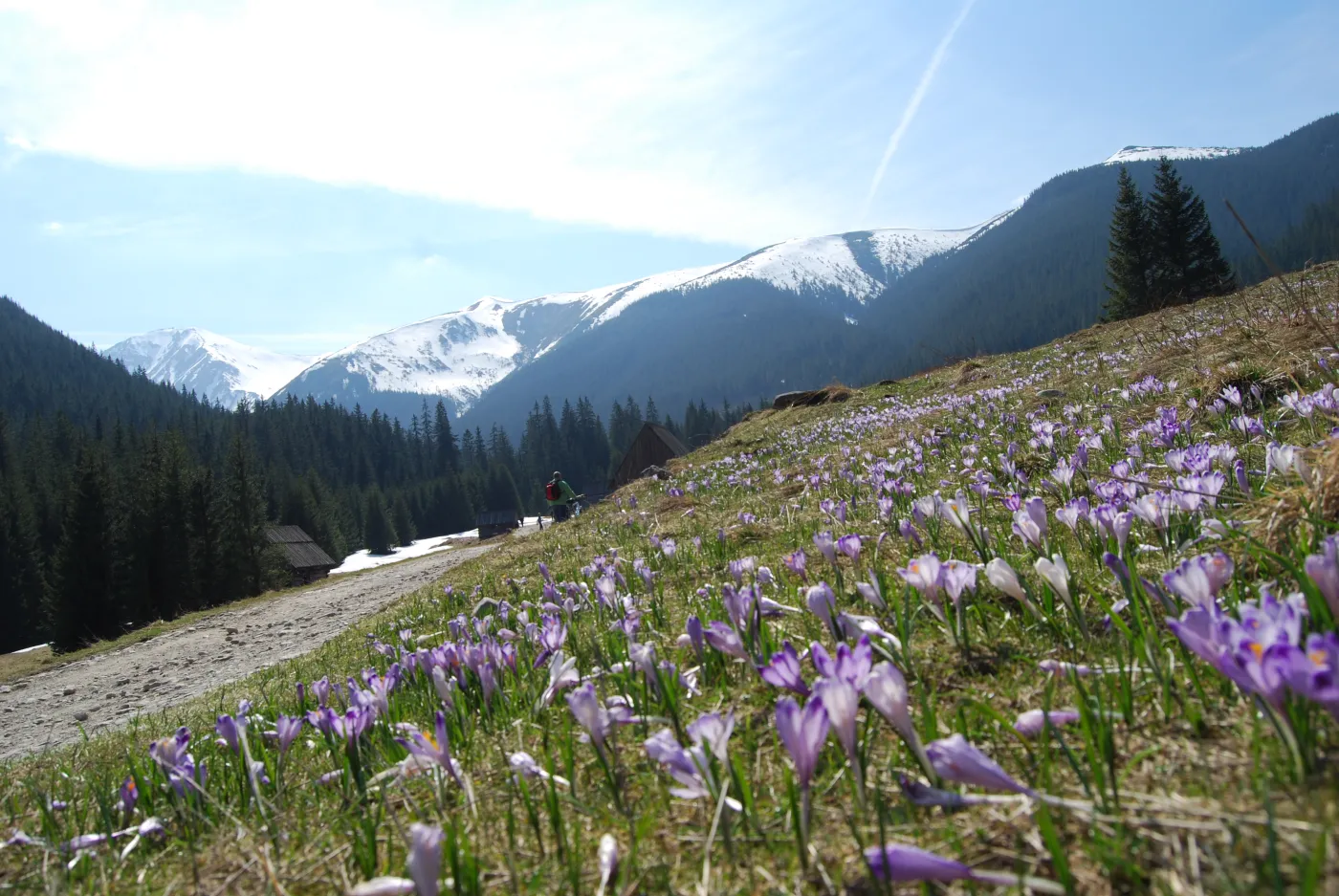 Prognoza na poniedziałek 1 kwietnia. Jaka będzie pogoda?