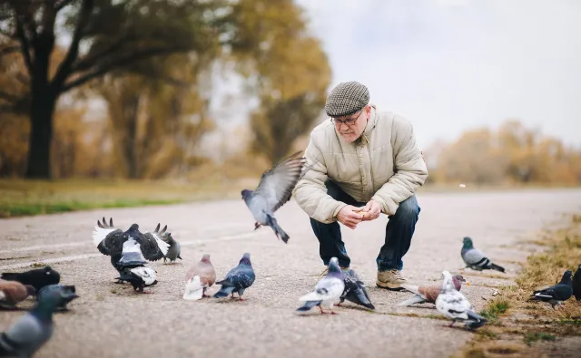 Posłowie skrzywdzili emerytów? "Po kampanii wyborczej najbardziej mogą ucierpieć seniorzy"