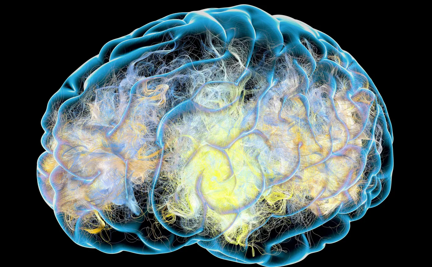 Mózg też można dodrukować. Czy to szansa na leczenie udarów i chorób neurologicznych?