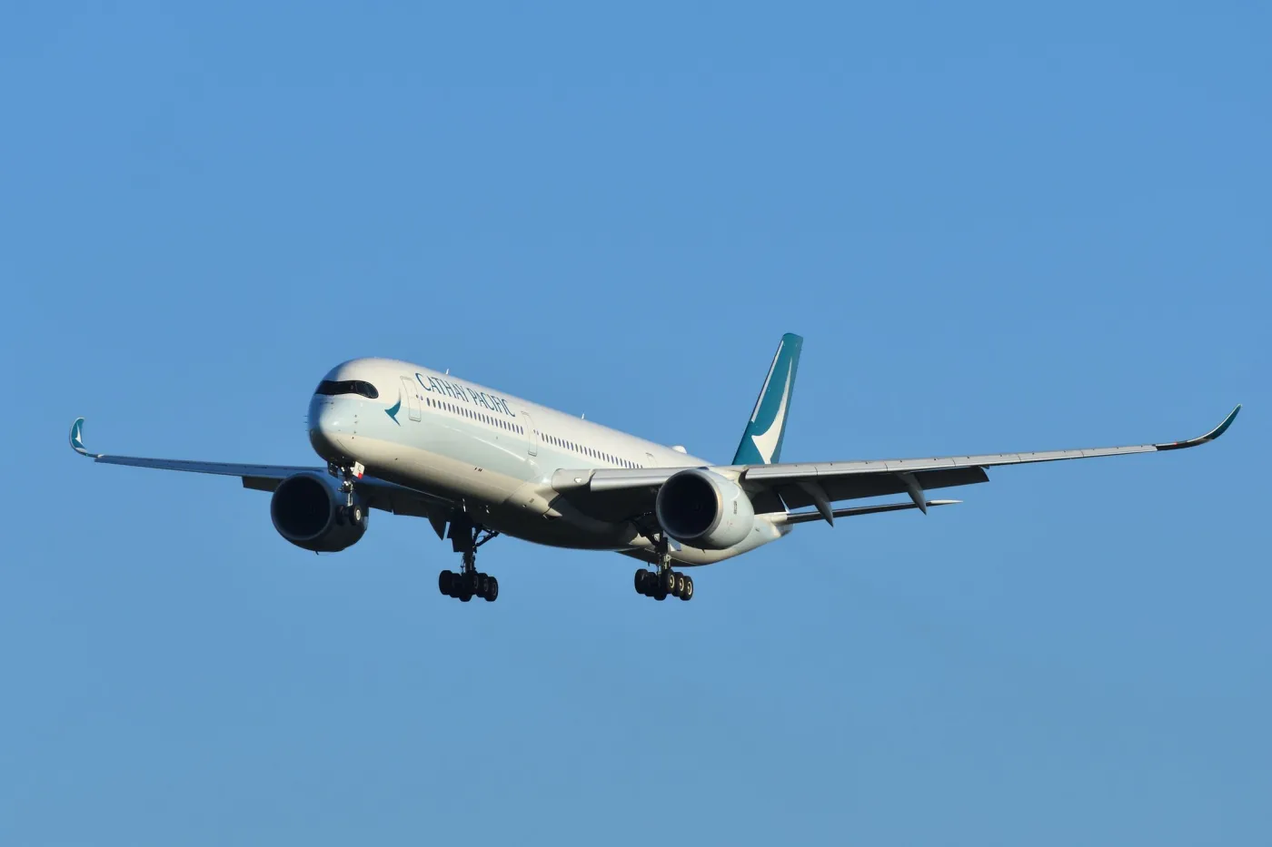 Rośnie popyt na samoloty pasażerskie. Airbus zapowiada zwiększenie produkcji