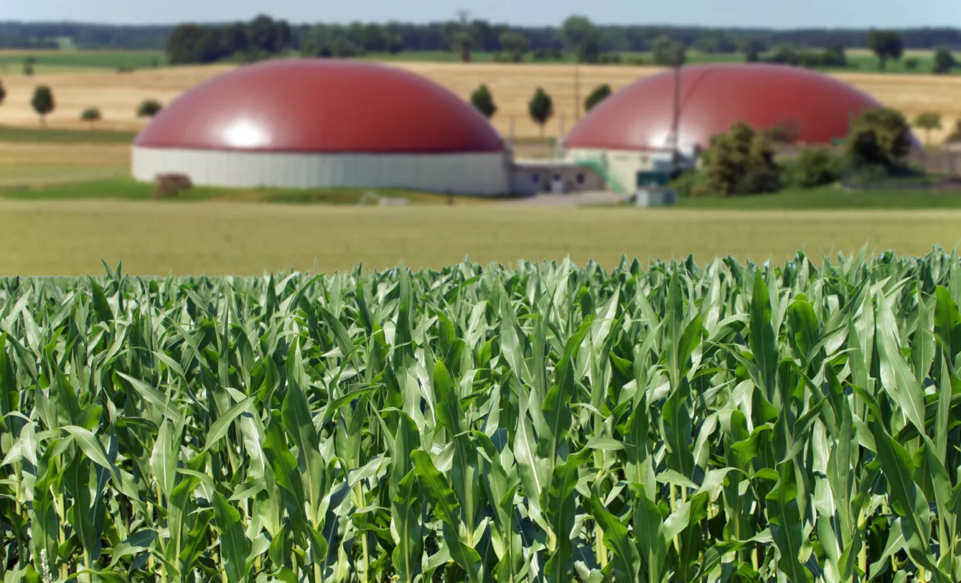 Bonter: Biogaz to szansa na niezależność energetyczną dla Polski