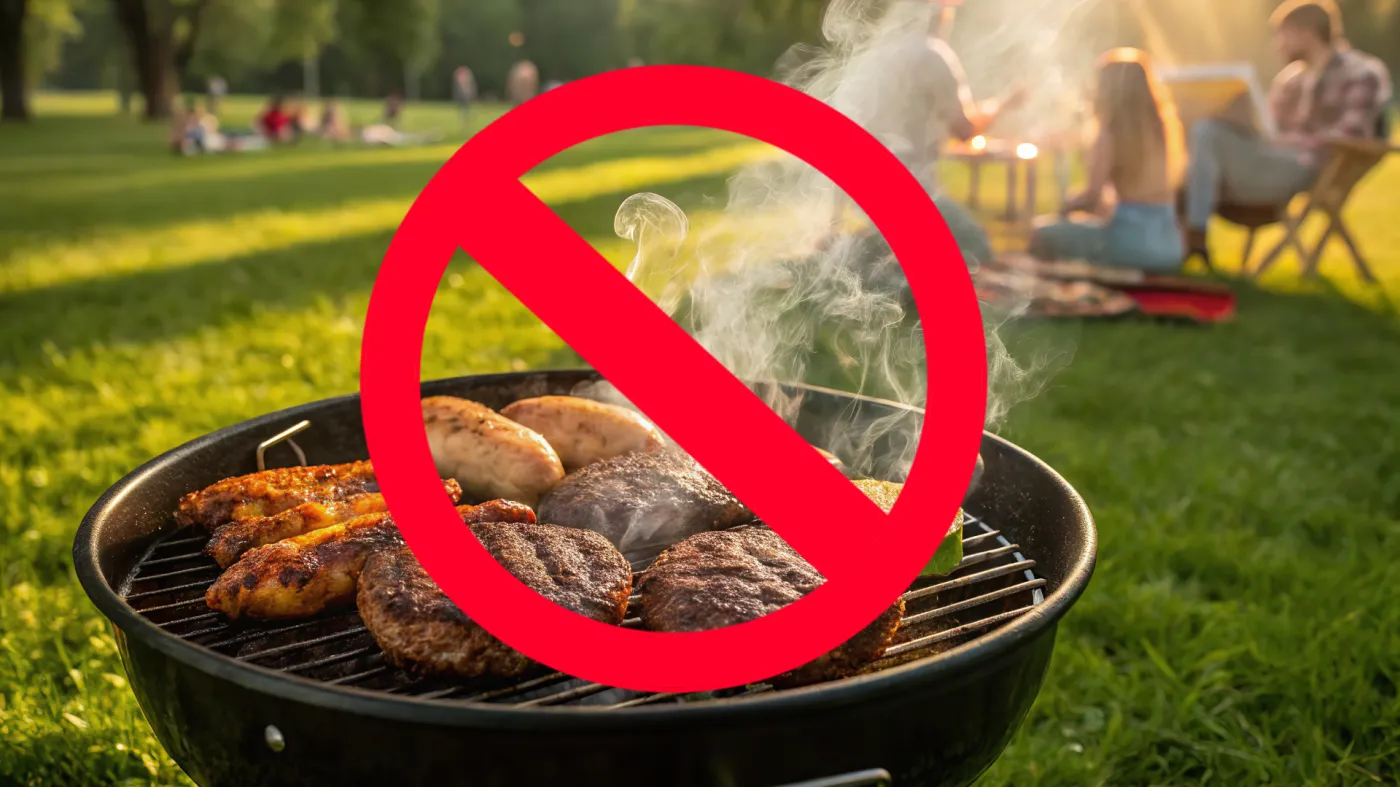 grill, grillowanie, zakaz, mandat, Warszawa