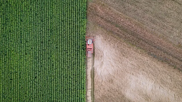 Ukraina grozi Polsce procesem w WTO. Eksperci: To jedynie "straszak", ale Kijów ma inne możliwości