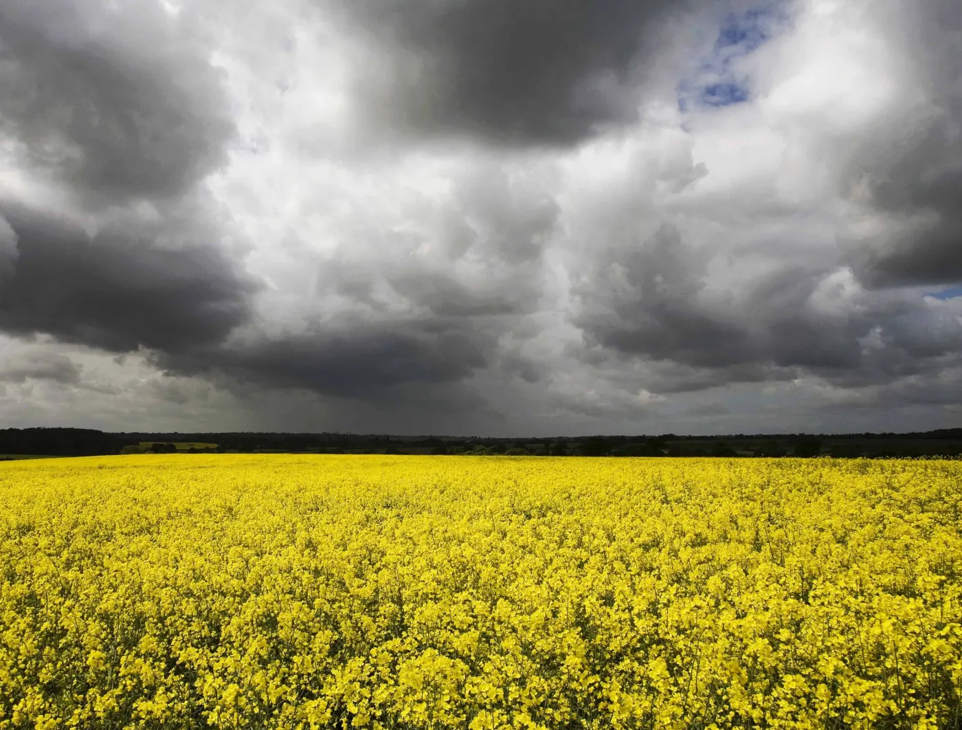 Głód może obalać rządy