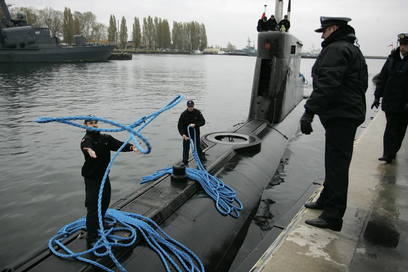 bielik4_276792.jpg