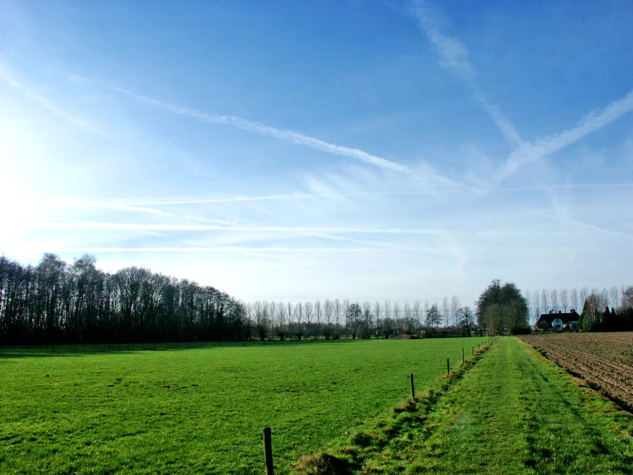 Ceny działek rekreacyjnych zaczynają się już od kilkunastu tysięcy złotych