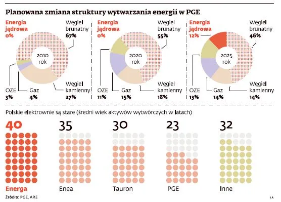 PGE: pierwsza polska elektrownia atomowa nie powstanie przed 2025 r.