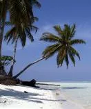 Raj podatkowy utracony. Fiskus tropi sklepy w sieci nawet za granicą