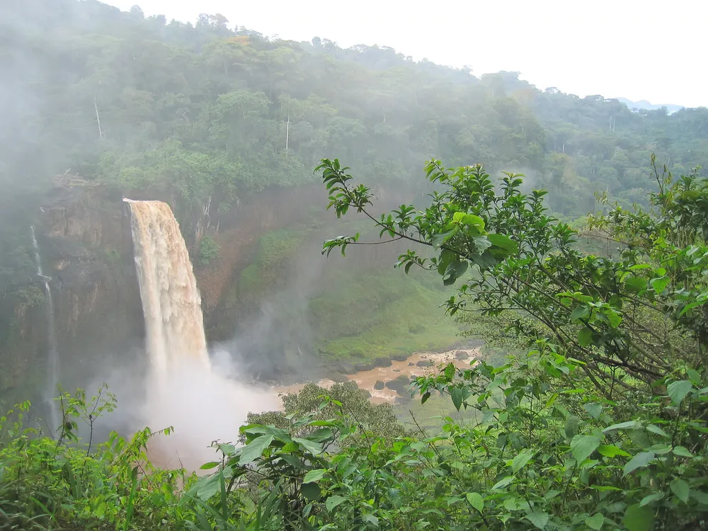 946867-kamerun.jpg