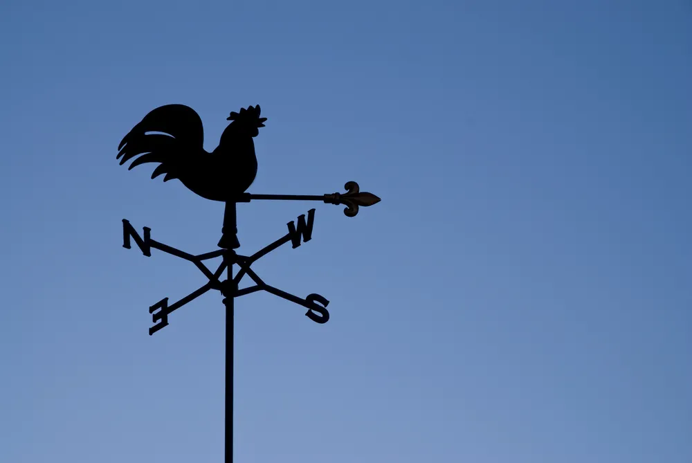 Bill Drayton naucza biednych kapitalizmu