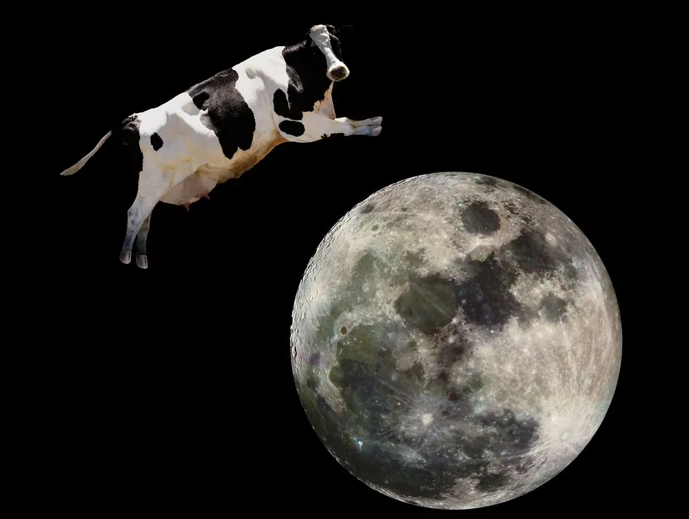 Wróbel: Outsourcing to nie kult, tylko kalkulacja