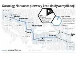 "Eksplozja kosztów" może wymusić skrócenie gazociągu Nabucco