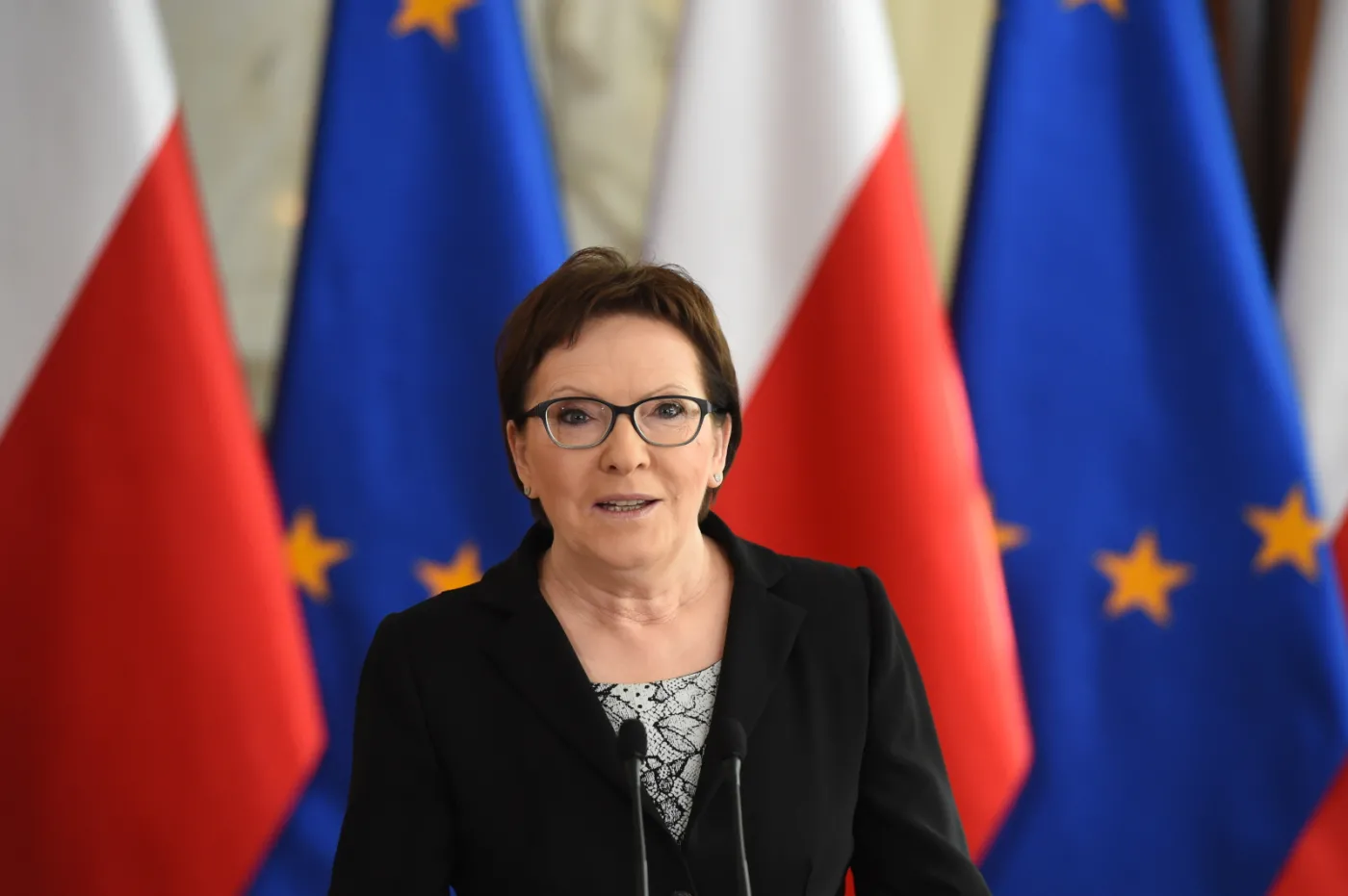  Premier Ewa Kopacz, PAP/Radek Pietruszka