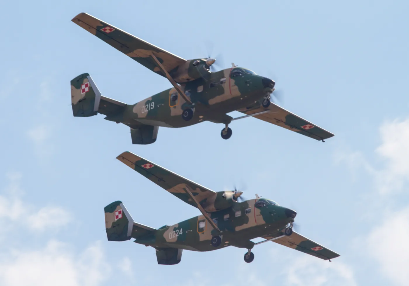 2283694-pokaz-polskich-sil-zbrojnych-podczas.jpg