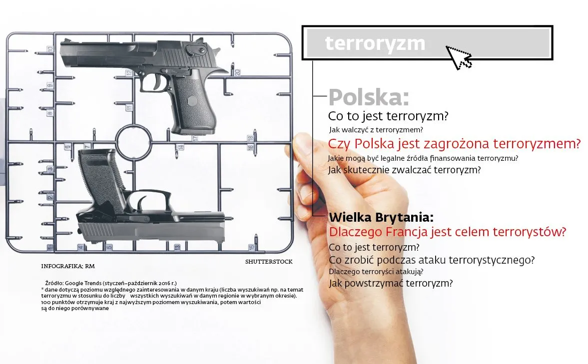 Jak zostać terrorystą, czyli o co pytają internauci w sieci