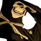 Chcesz zostać milionerem? Donieś na pirata