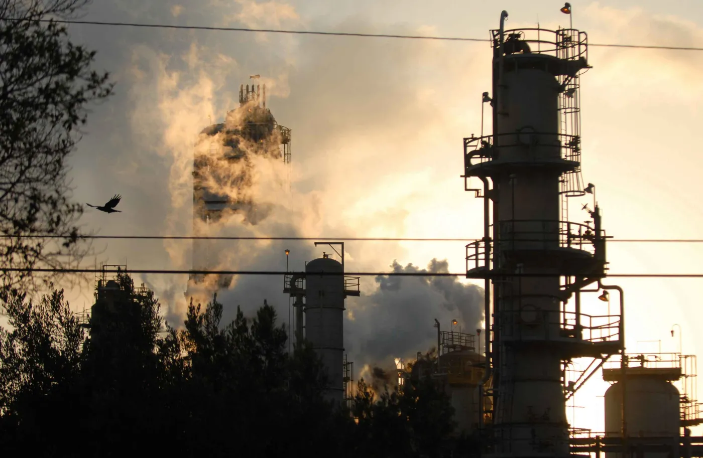 Prąd dla największych przedsiębiorców będzie tańszy