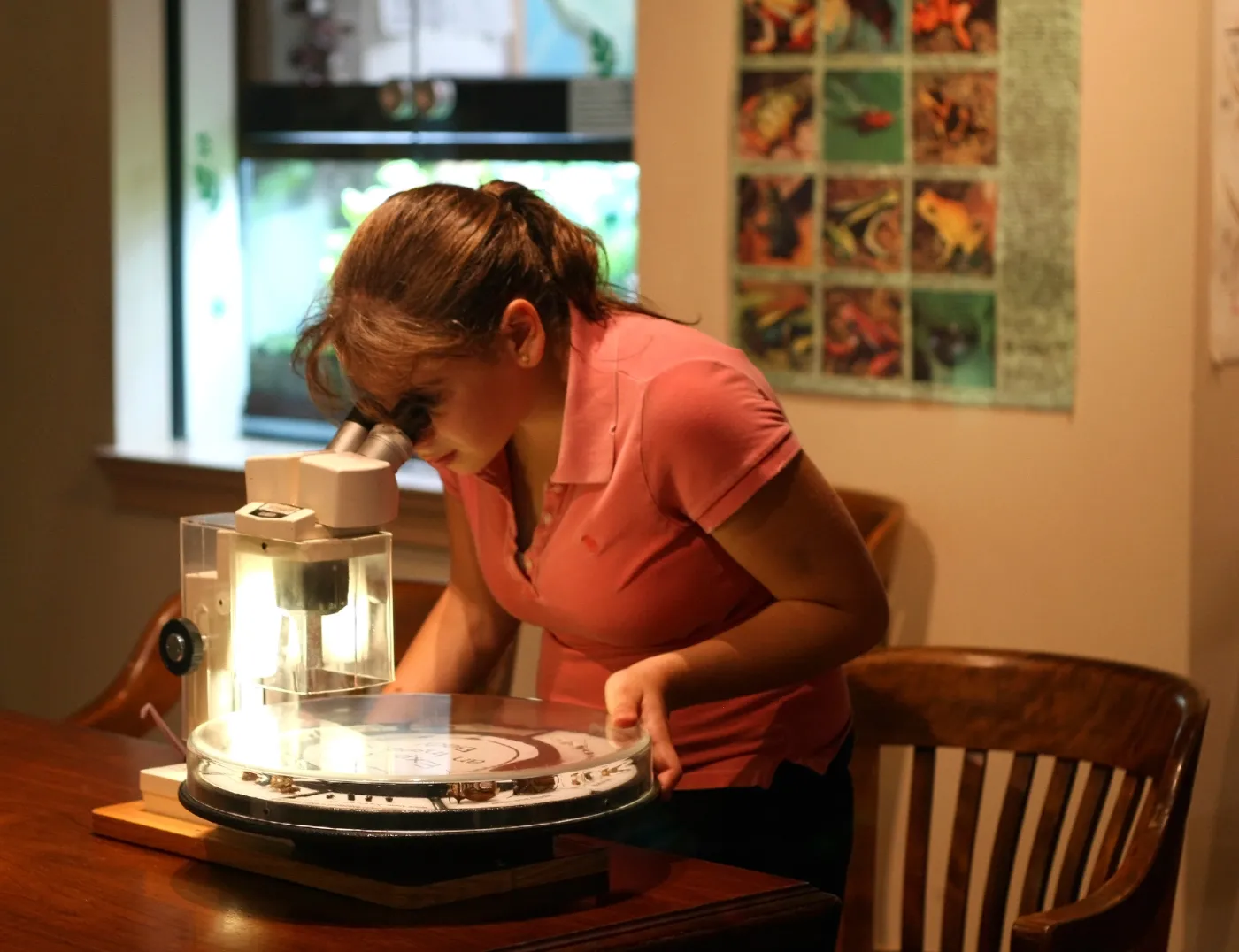 Kryteria przyznawania unijnych dotacji na badania naukowe są coraz ostrzejsze