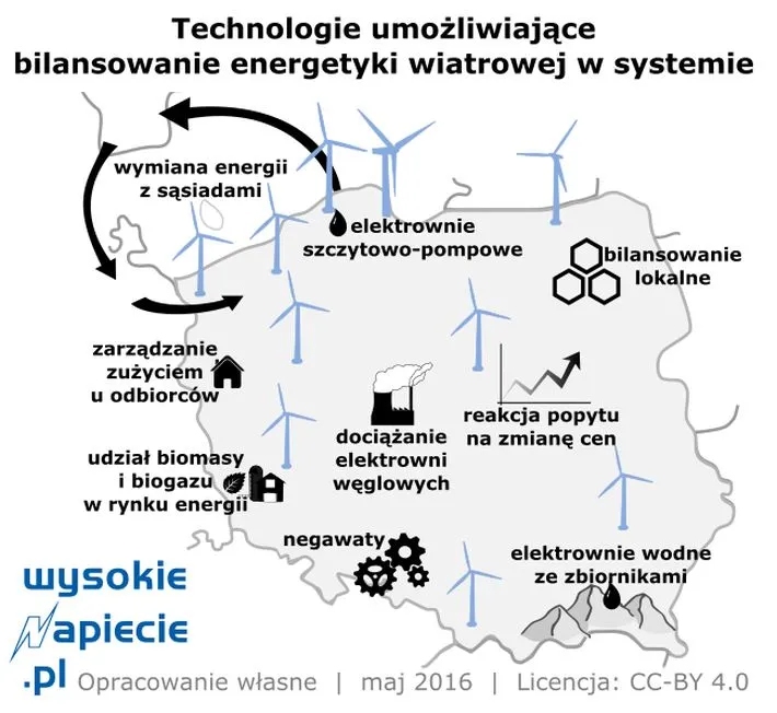 Historyczny rekord. Wiatraki dostarczyły 1/3 mocy w Polsce