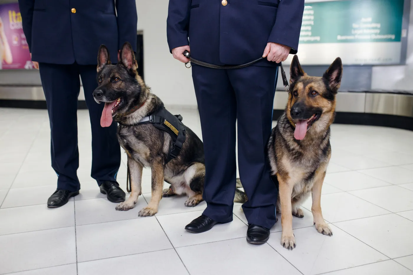 Celnicy mogą przejść na emeryturę w wieku 55 lat. Weszły nowe przepisy