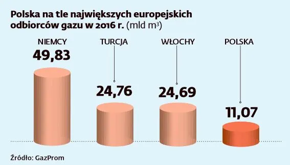 3230457-polska-na-tle-najwiekszych-odbiorcow.jpg