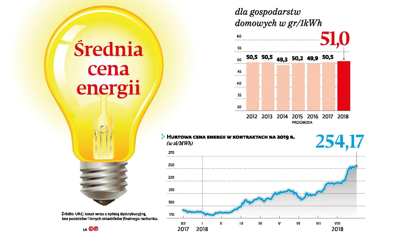 Prąd jednak nie zdrożeje? Za brak podwyżek mogą zapłacić drobni przedsiębiorcy