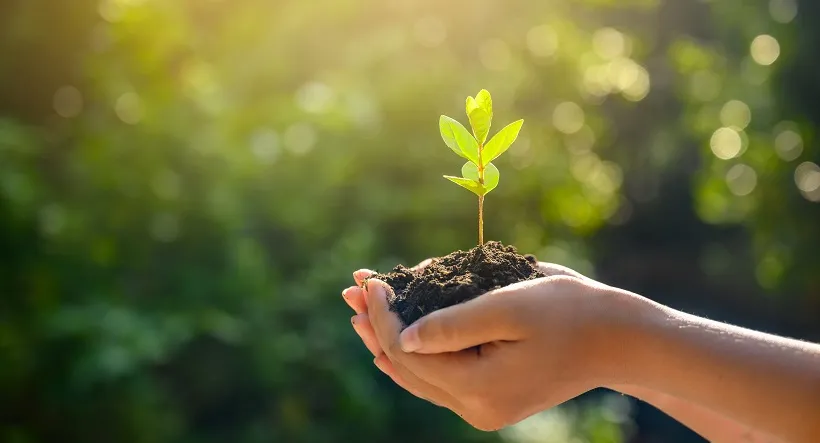 Ochrona klimatu podczas zakupów – Lidl wkrótce wprowadzi do asortymentu produkty neutralne dla klimatu