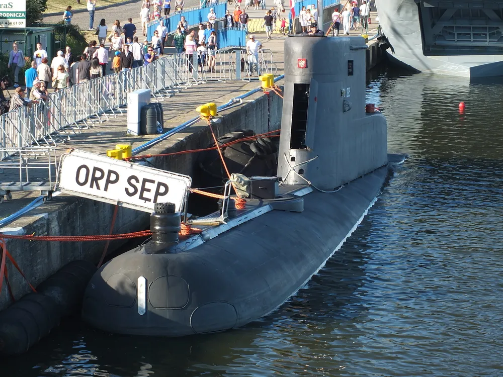 ORP Sęp