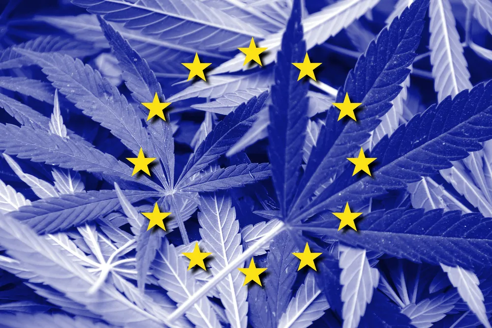 KE ustaliła maksymalne limity THC w żywności