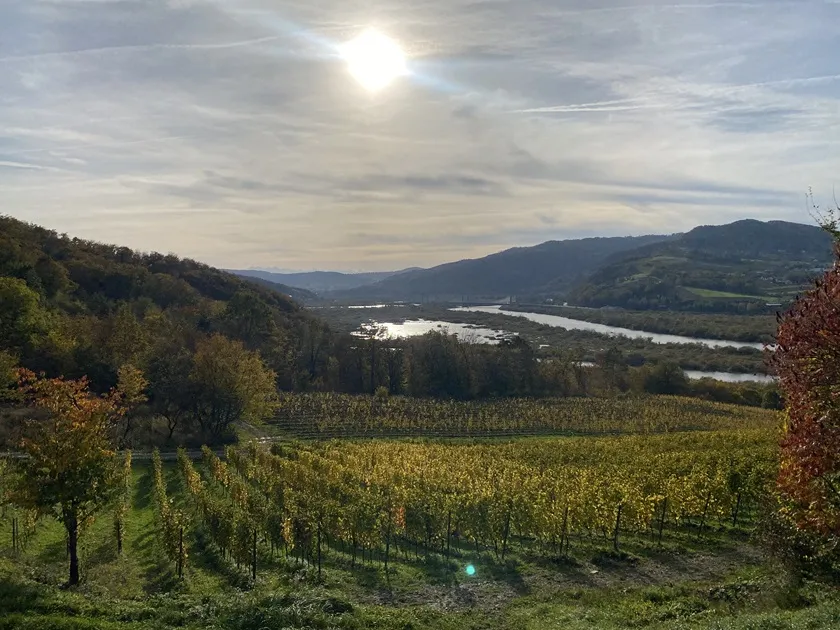 Zachwycająca Winnica Gródek nad Dunajcem