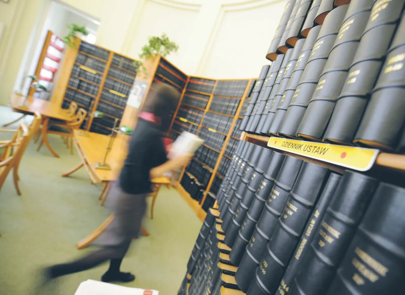 Prawa i niesprawiedliwość